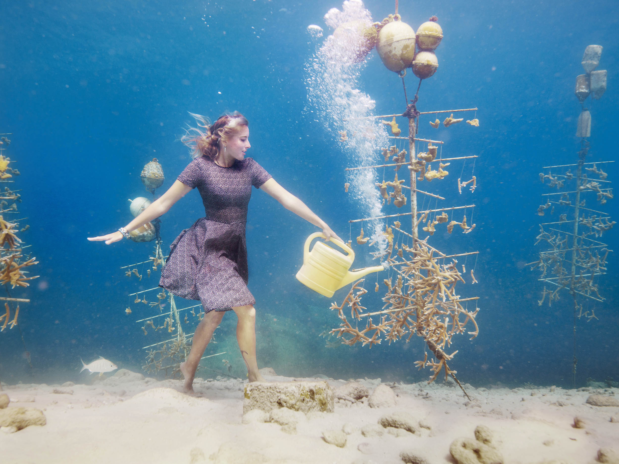 art undererwater photoshoot